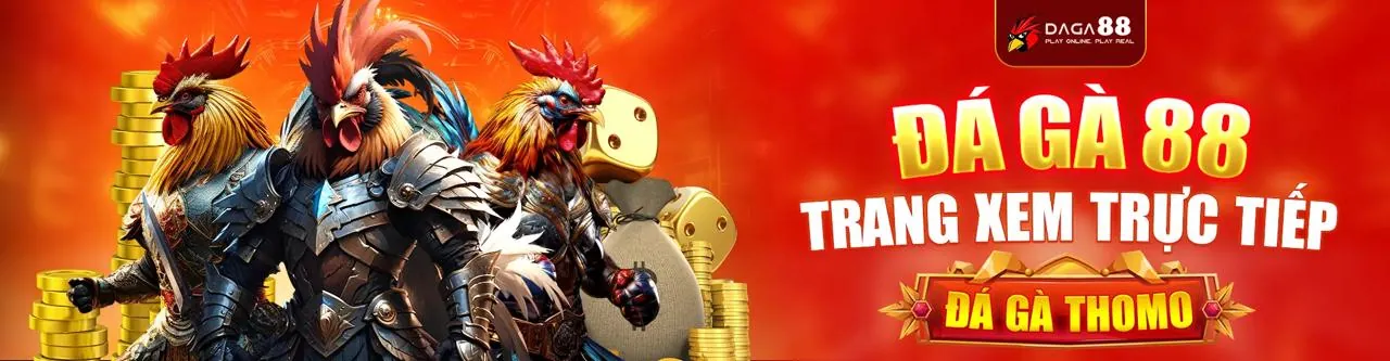 Đá gà trực tuyến OKVIP1