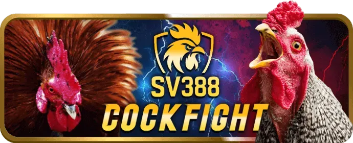 Video Slot OKVIP1